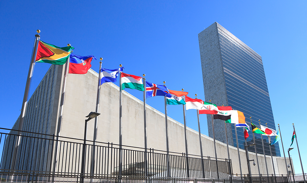 ¿Argentina dejará una silla vacía en Segunda Reunión de Alto Nivel de la Asamblea General de las Naciones Unidas sobre Prevención, Preparación y Respuesta ante Pandemias?