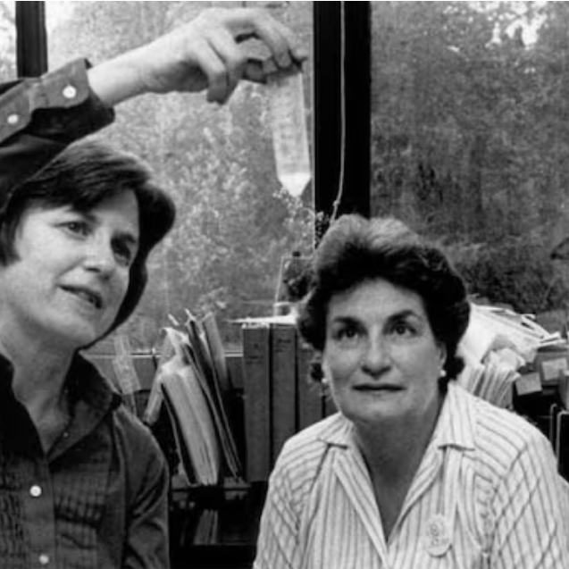 50 años del Golpe: el laboratorio de las Abuelas y una genética a puro corazón