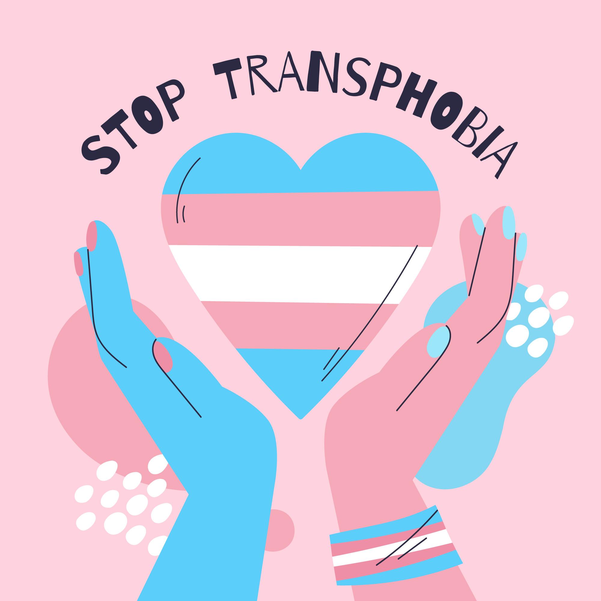 31 de marzo: Día Internacional de la Visibilidad Transgénero